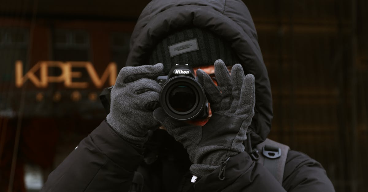 iStock Photo: The Ultimate Guide to High-Quality Stock Images and Digital Assets